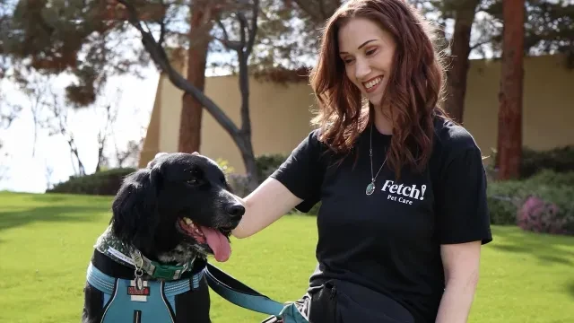 An employee of Fetch Pet Care, a member under Phoenix Franchise Brands, walks a dog. 