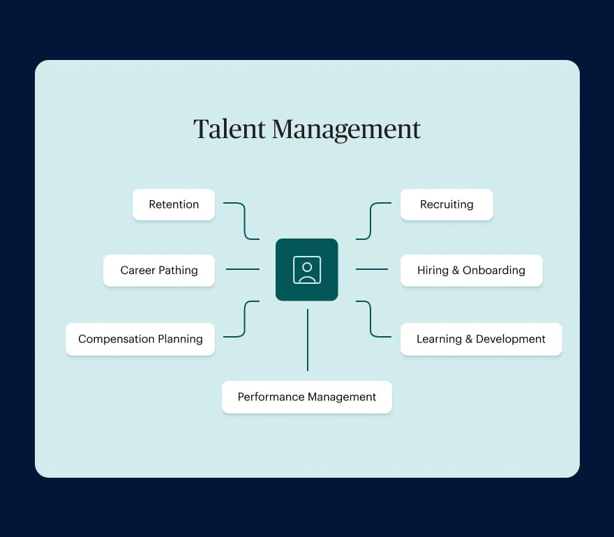 Un gráfico que muestra todos los diferentes servicios dentro de la gestión del talento