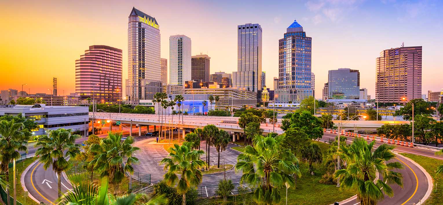 landscape of Tampa, florida