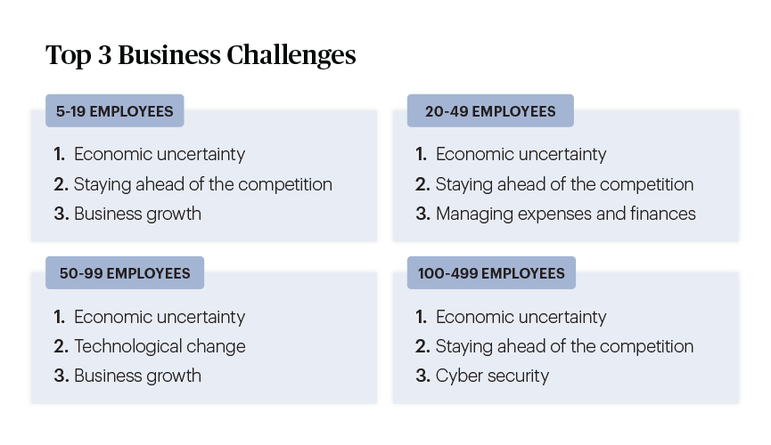 Top 3 business challenges by business size chart